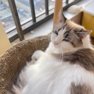 浪漫是和你浪费每个寻常日落