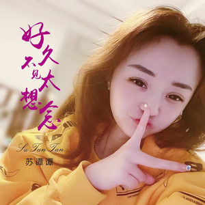 好久不见太想念 (伴奏)