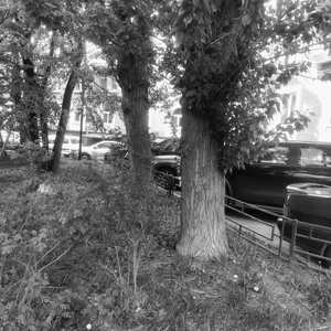 Сохранение