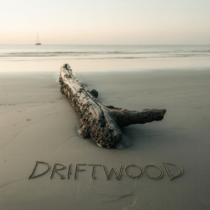 Driftwood