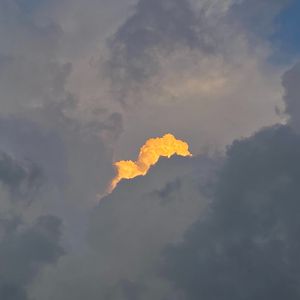 在意识里过一生（cover:张婉清）