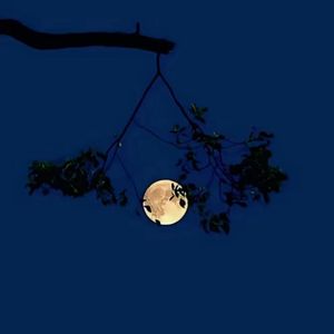 Long Time（Prod By ATTBEAT)