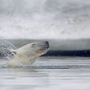 舒缓琴音伴白噪，引你入眠之境