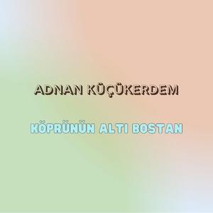 Köprünün Altı Bostan