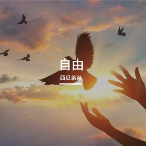 自由（2019 Revisit)