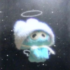 月光轻轻洒落的夜晚