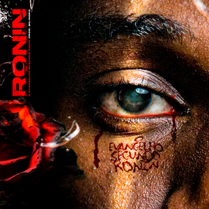 O Evangelho Segundo Ronin