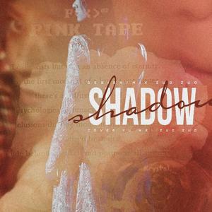 Shadow(跟踪：影子)（翻自 f(x)）