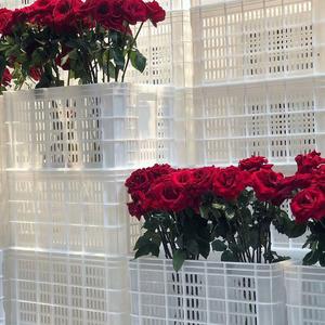 nineteen PM(Prod.By kayzee)