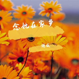 奥村 愛-陪伴老友生日（谢成 remix）