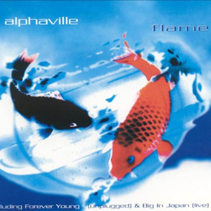 Forever Young [Unplugged]