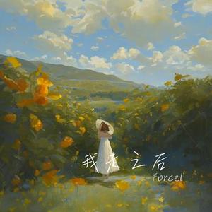 我走之后