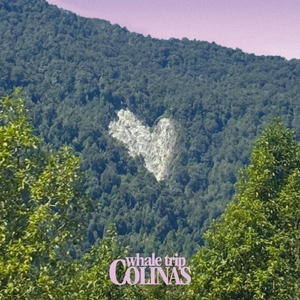 Colinas