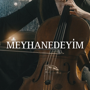 Meyhanedeyim