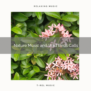Live Today, Reach Sleep Nature Music for Magical Relax