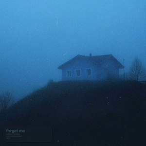 forget me