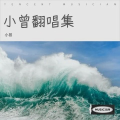 忙碌的生活「人山人海」 (小z remix) (Remix)