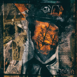 Thymos