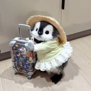 Get Something (Sped Up)