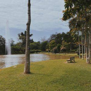 All About Your Heart