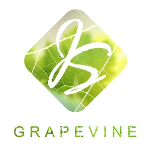 Grapevine