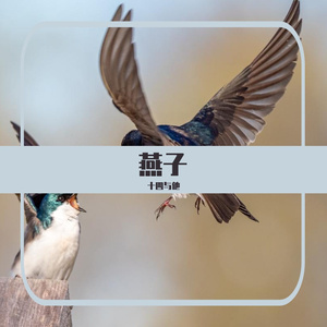 ツバメ
