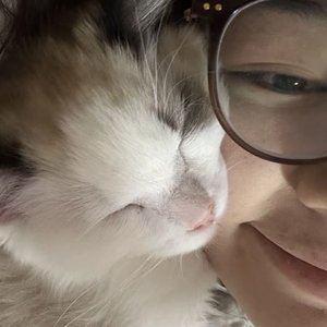 浪漫的不是雪 是有你的冬天