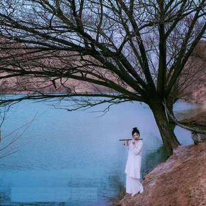 紫竹调 (笛子独奏)