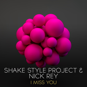 I Miss You (Stereocreator Remix)