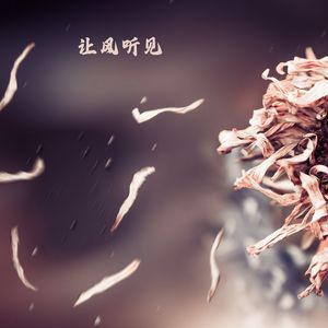 缓缓摇曳 (南萧版)