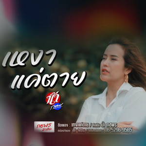 เหงาแค่ตาย