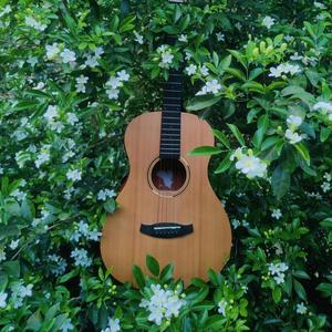 Acoustic Guitar Sad Backing Track In A Major Paranoid