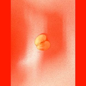 Classtime (Instrumental)