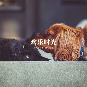 绿意盎然 (猫咪放松音乐)