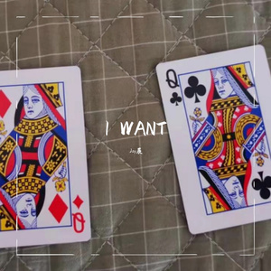 i want (Prod by LRUI17)