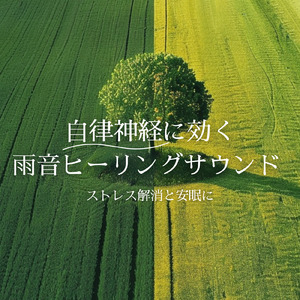 冷たい空気と森のまどろみ