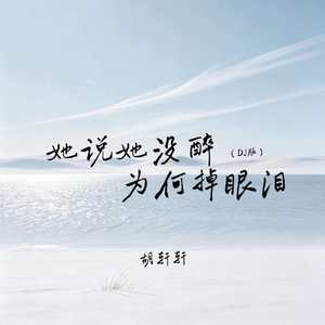 她说她没醉为何掉眼泪(DJ版)