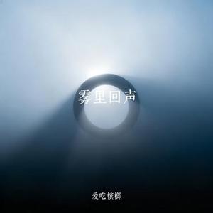 雾里回声