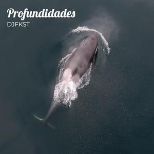 Profundidades