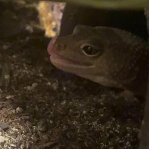 I peaked in7th grade