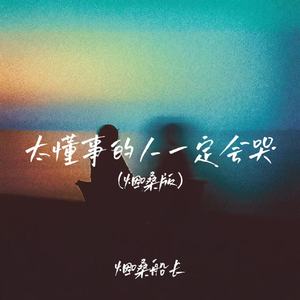 太懂事的人一定会哭(释怀对唱版)