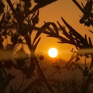 谁（吉他翻唱）