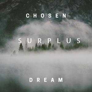Surplus