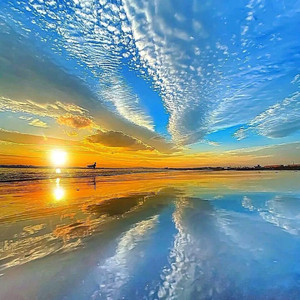 离合悲欢总无情