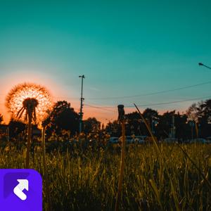 看过宫崎骏动漫的童年 (钢琴曲)