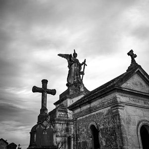 已读不回是新的再见