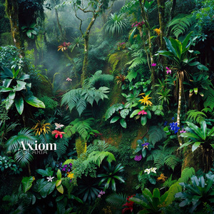 Axiom