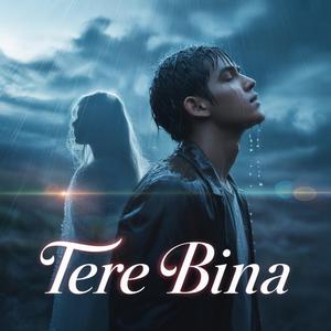 Tere Bina