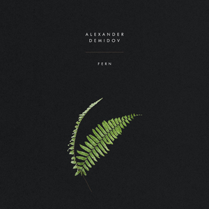 Fern