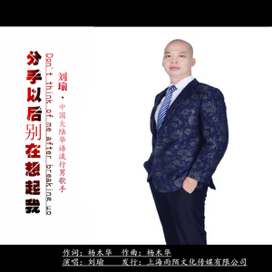 分手以后别在想起我